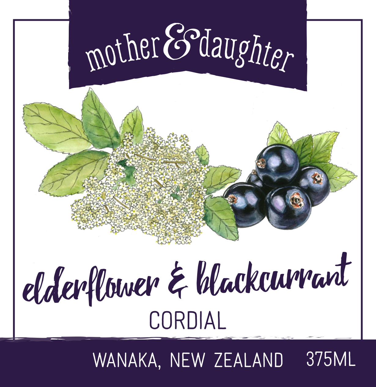 Elderflower and Blackcurrant Cordial