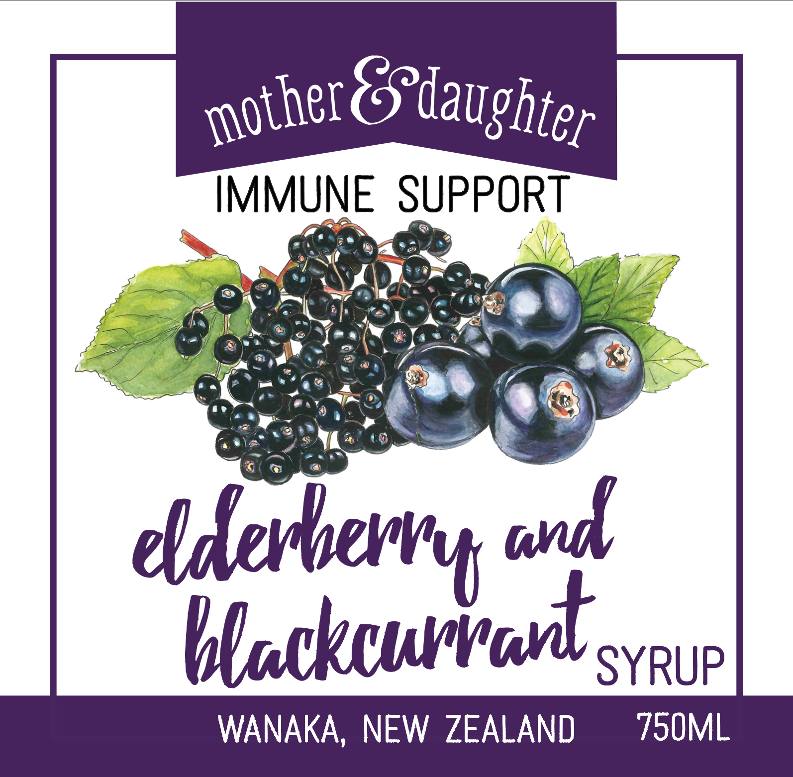 Elderberry and Blackcurrant Syrup