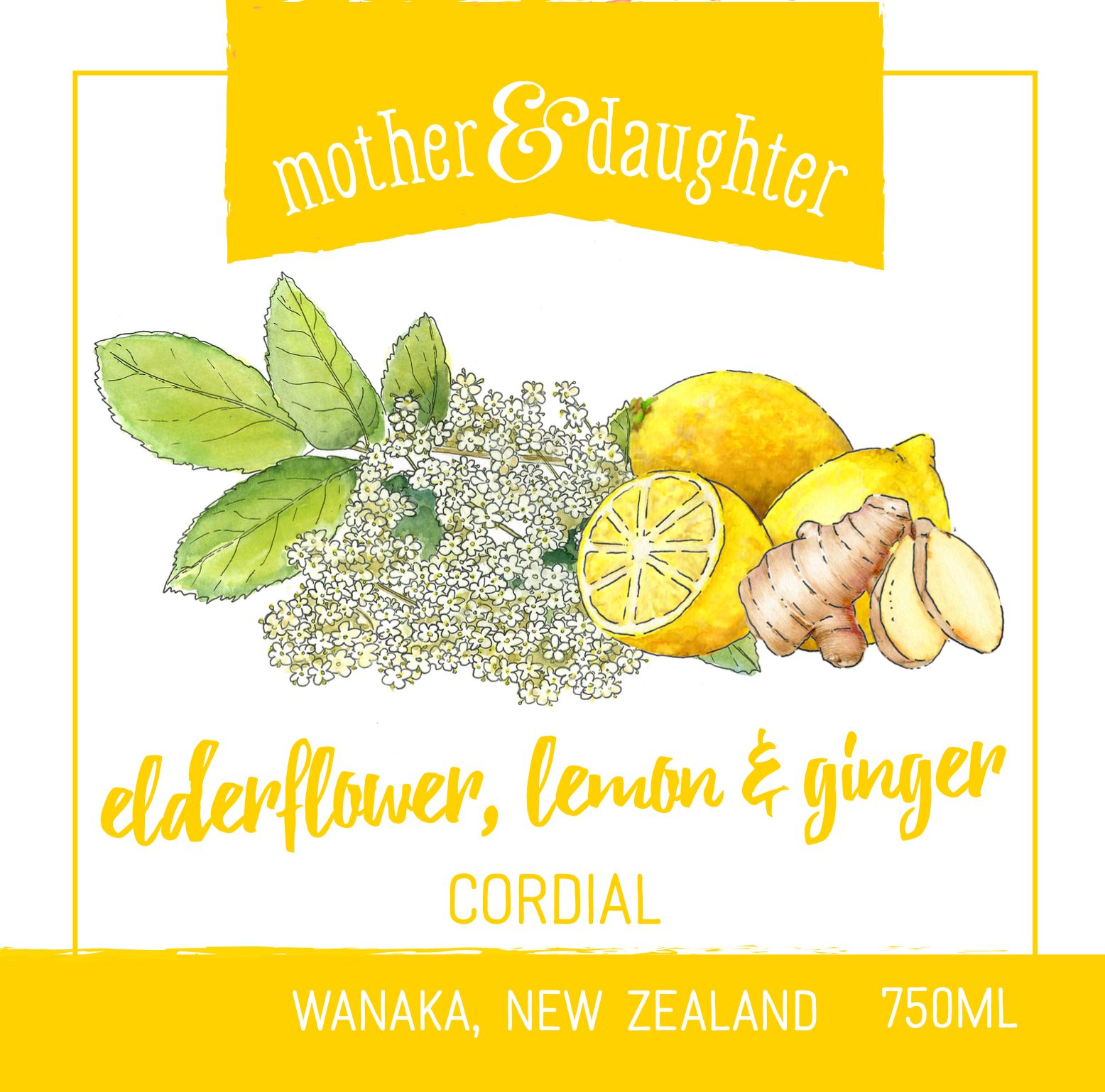 Elderflower, Lemon and Ginger Cordial